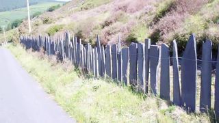 slate fence