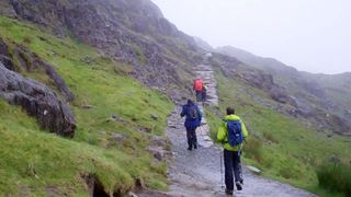 pyg track