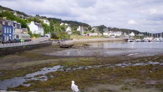 tarbet