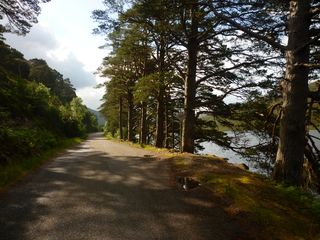 leaving shieldaig